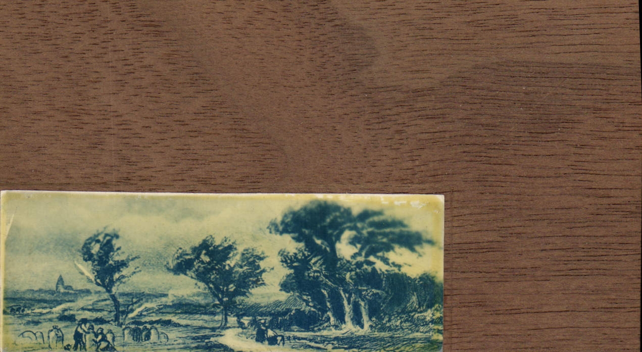 Paysage rural — éditeur P. (logo) — n° de série non visible