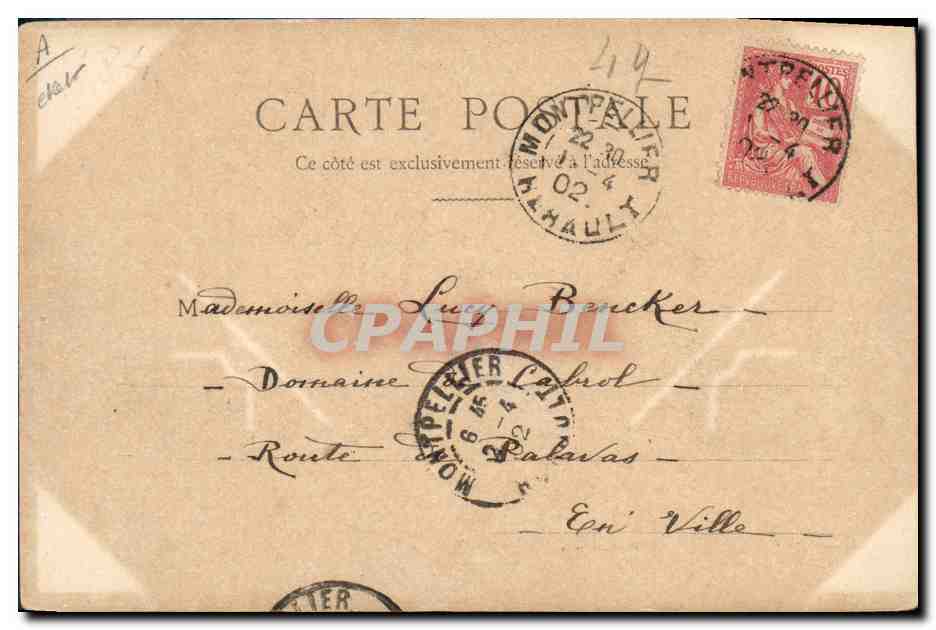 M. Edmond ROSTAND — Auteur de l'Aiglon — édité par D'HIR et Cie, Paris — Reverso