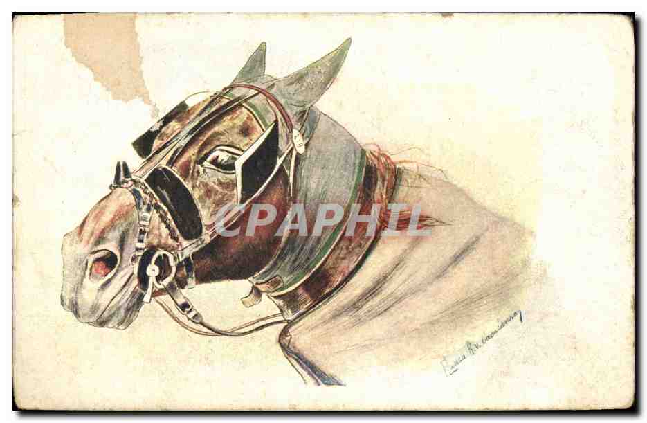 Tête de cheval harnaché — dessin à l'aquarelle — B. K. W. I. 759-6