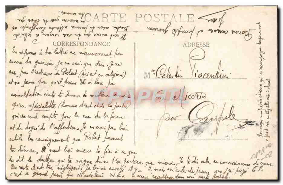 CARTE PHOTO Cheval Equitation Hippisme Militaria  — Verso