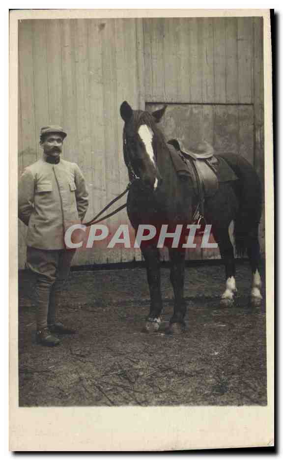 CARTE PHOTO Cheval Equitation Hippisme Militaria 