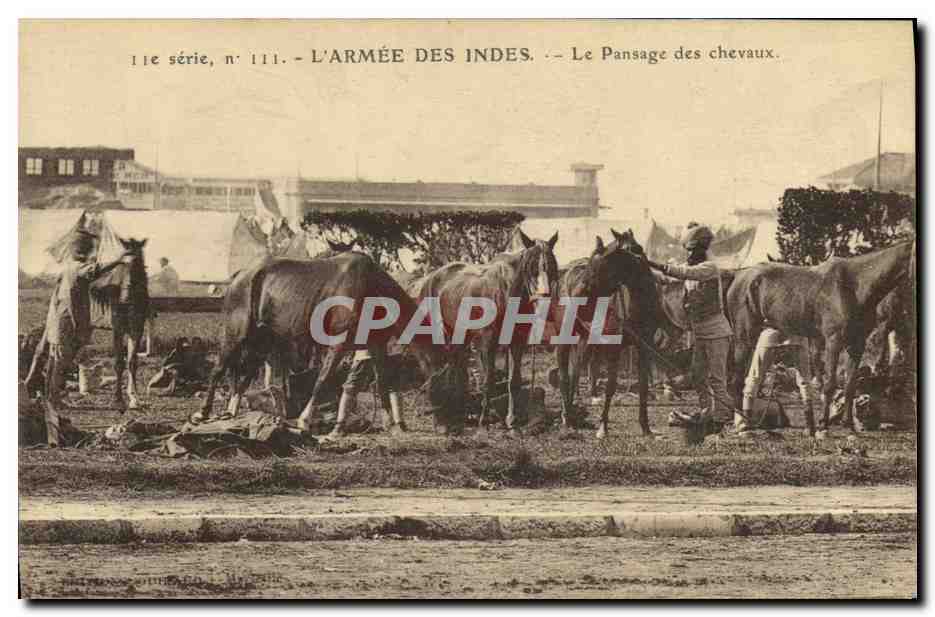 L'ARMÉE DES INDES — Le Pansage des chevaux — série n° 111
