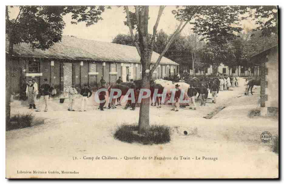 CPA Cheval Equitation Hippisme Camp de Chalons Quartier du 6eme escadron du Train Le pansage Militaria 