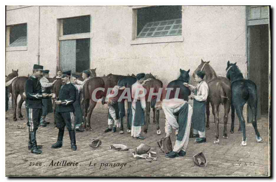 CPA Cheval Equitation Hippisme Le pansage Militaria 