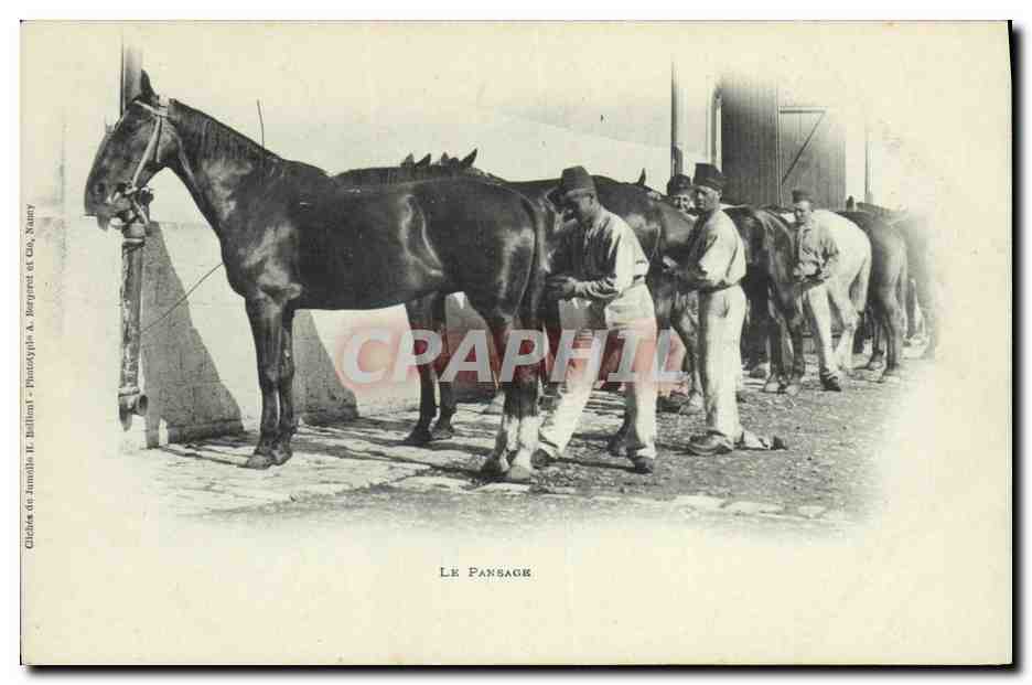 CPA Cheval Equitation Hippisme Le pansage Militaria 