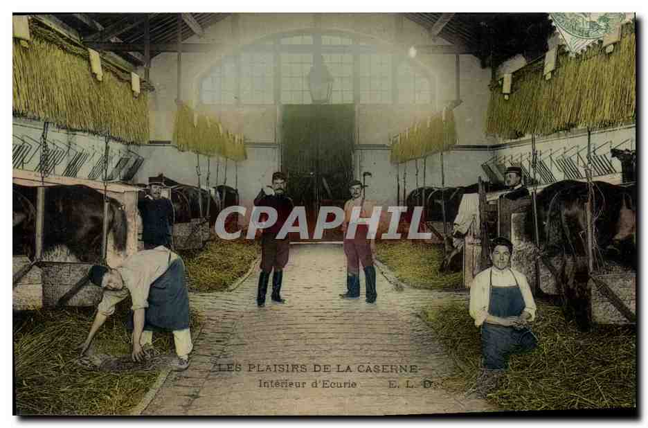 CPA Cheval Equitation Hippisme Interieur d'ecurie Militaria 