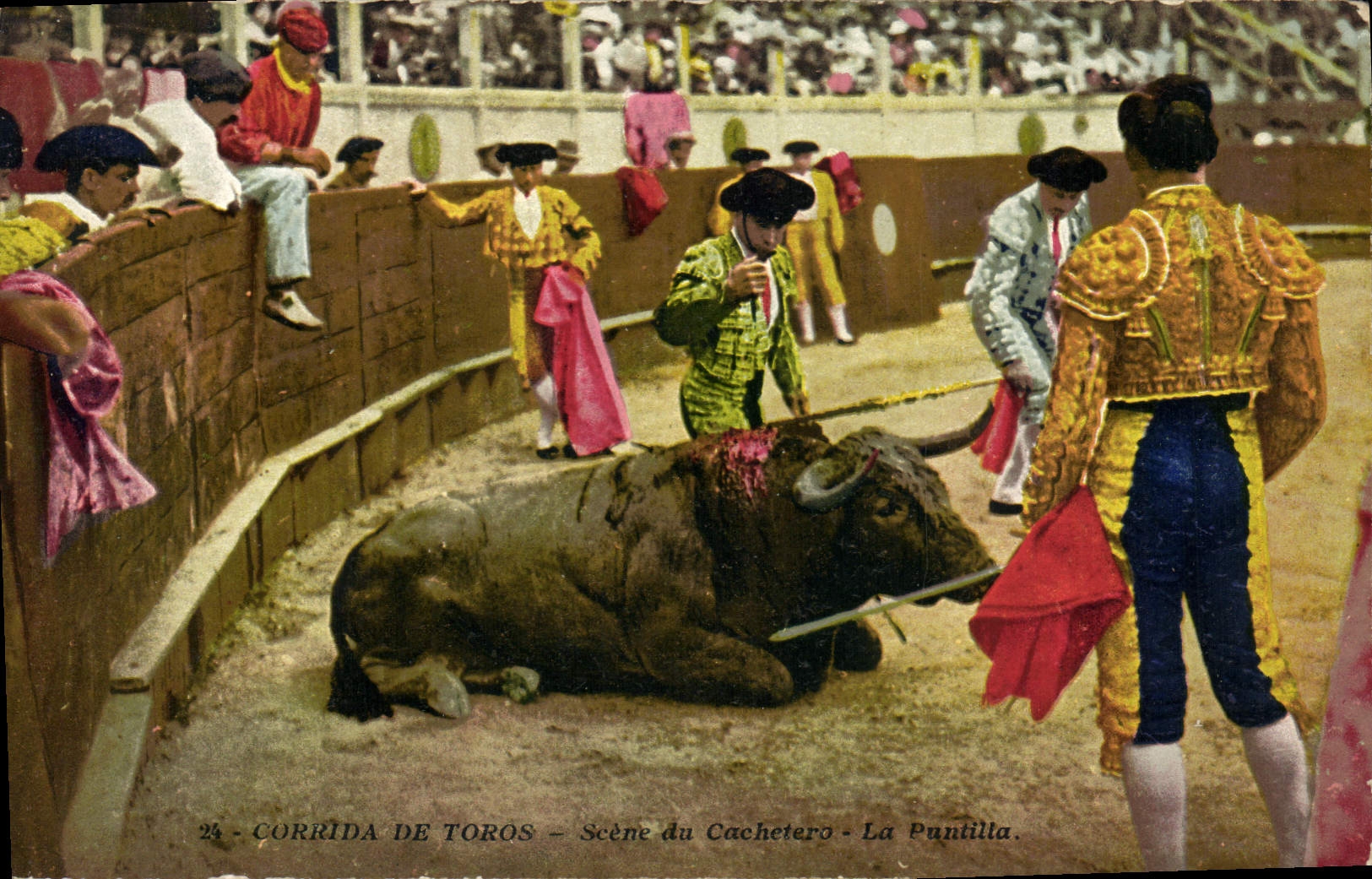 CPA Corrida Course de taureaux Scene du Cachetero La puntilla 