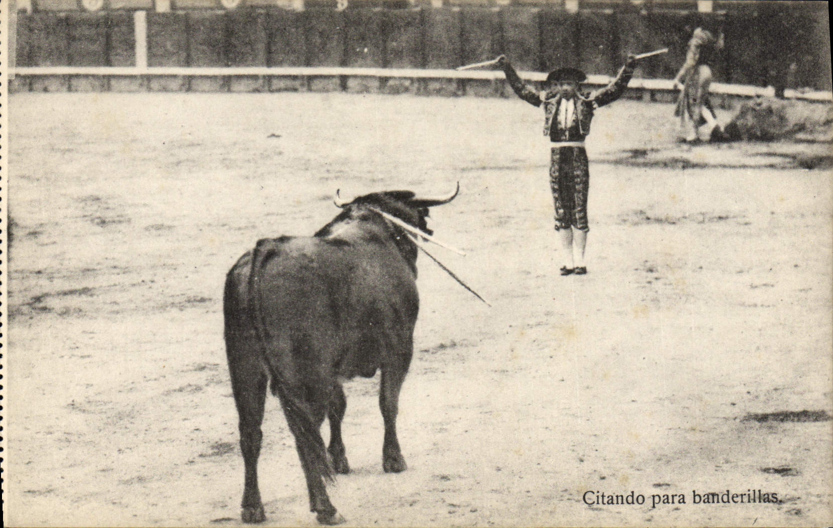CPA Corrida Course de taureaux Citando para banderillas 