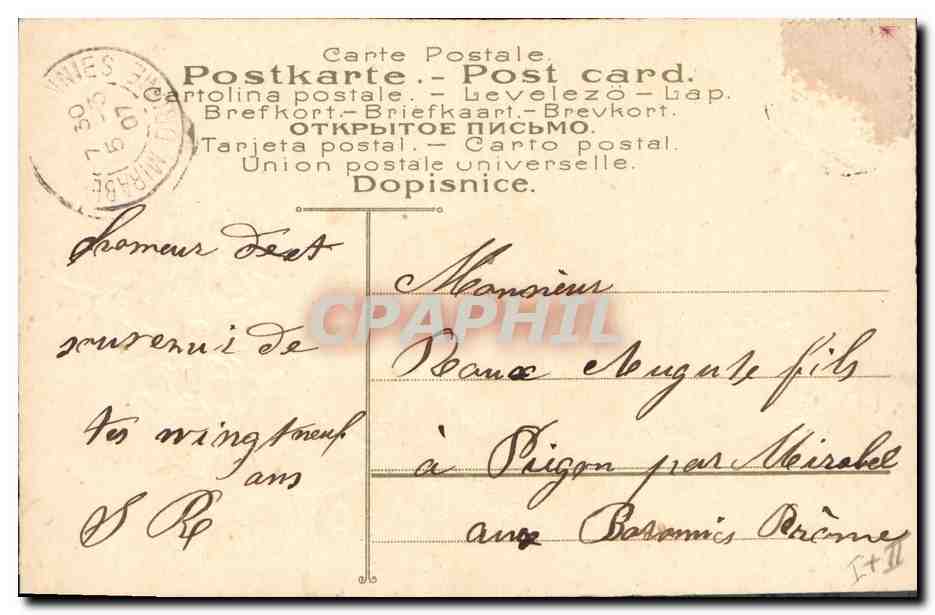 CPA Fantaisie Fleurs Main  — Verso