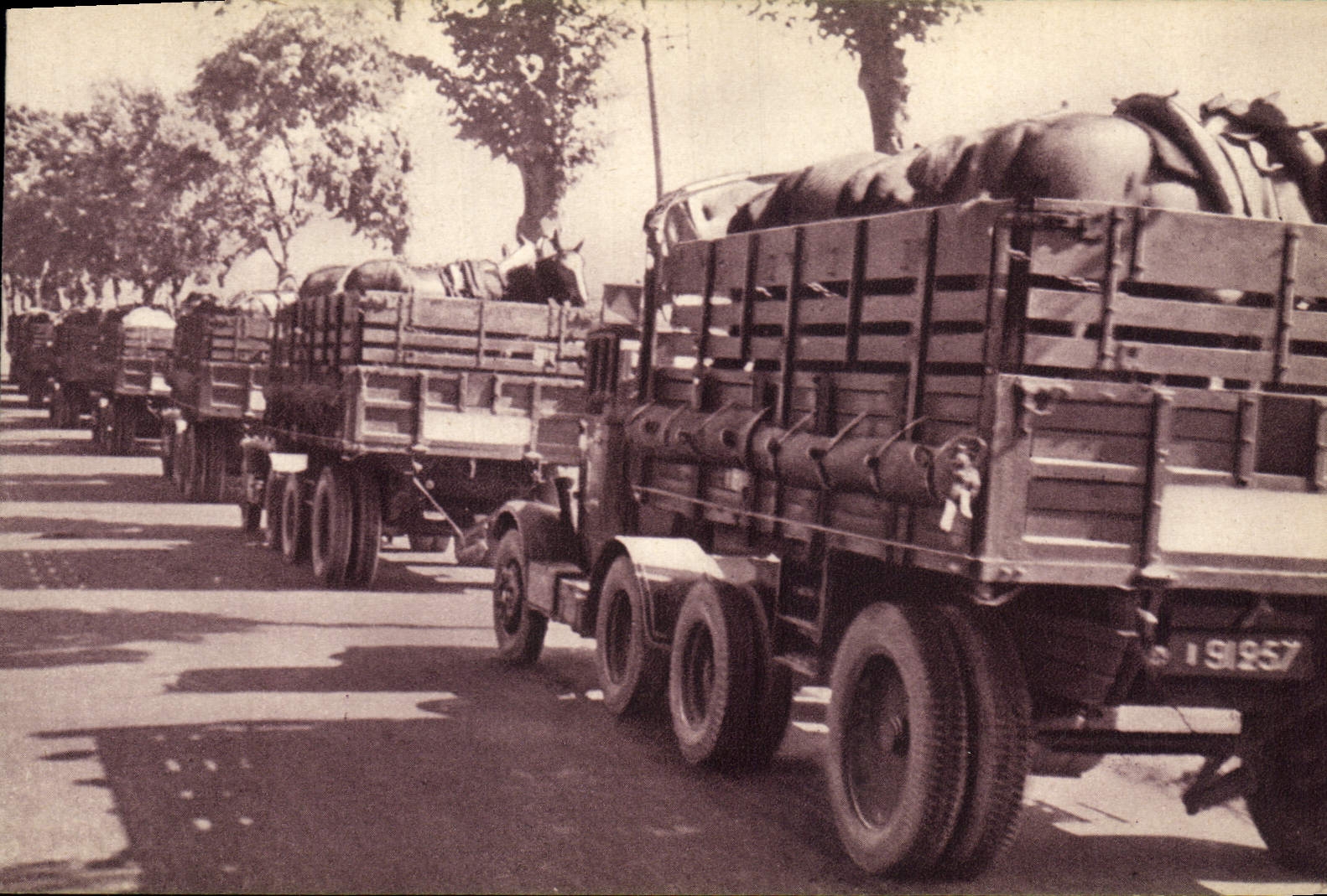 Train des équipages militaires — Transport de chevaux — Georges Lang, Paris