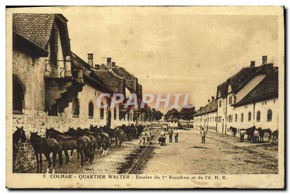 CPA Cheval Equitation Hippisme Colmar Quartier Walter Ecuries du 1er escadron et de l'EHR