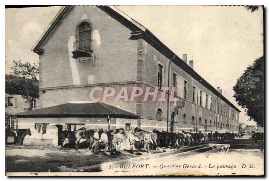 CPA Cheval Equitation Hippisme Belfort Le pansage 
