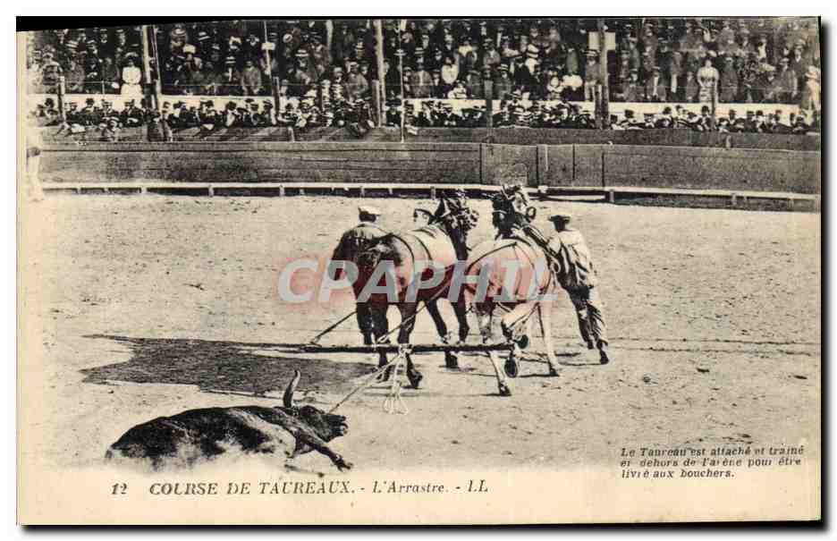 CPA Corrida Course de taureaux L'arrastre 