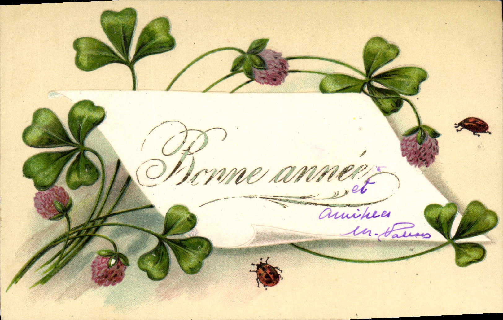 CPA Fantaisie Fleurs Trefles Coccinnelles 
