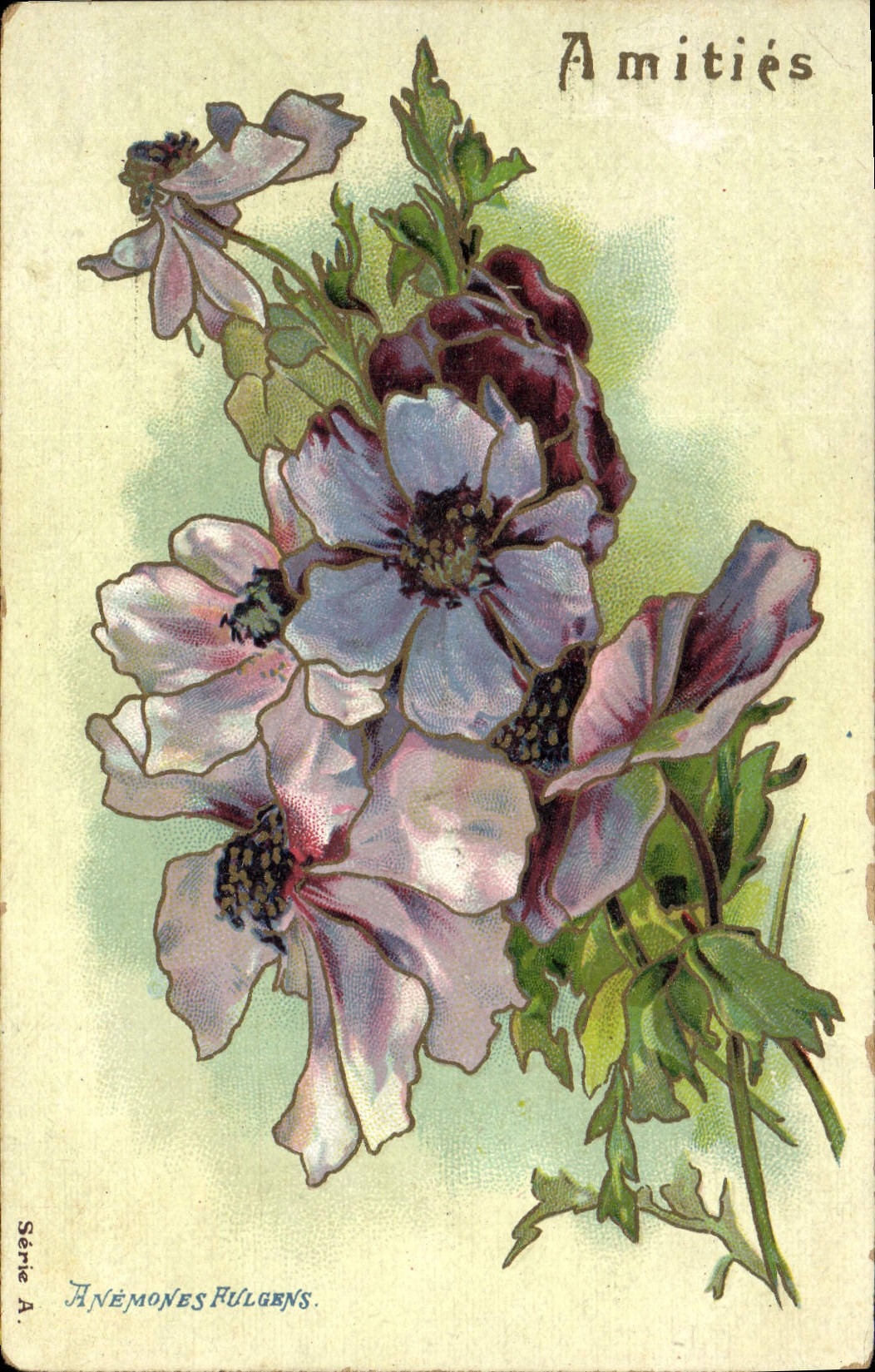 CPA Fantaisie Fleurs Anemones Fulgens 