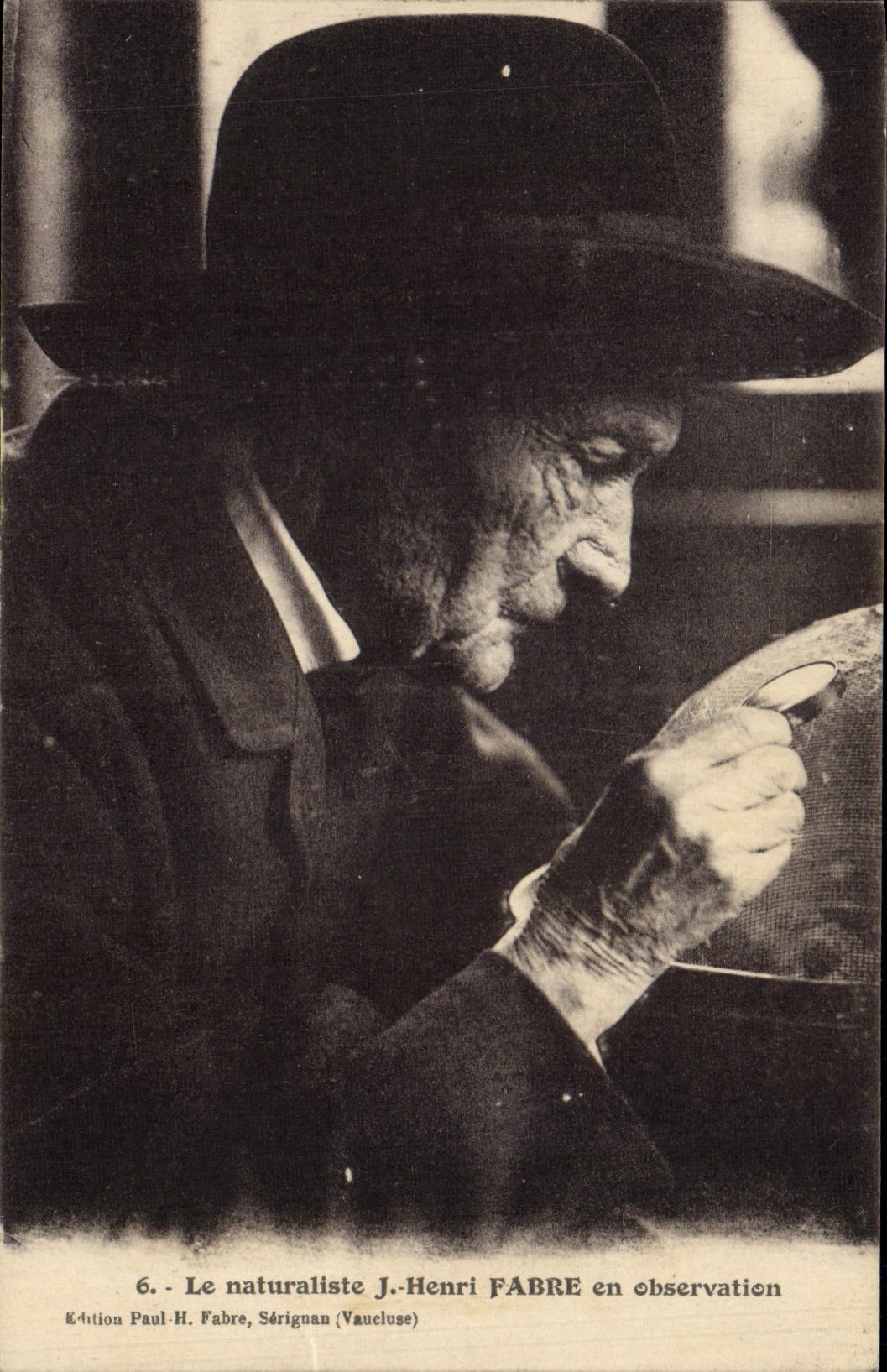 Le naturaliste J.-Henri FABRE en observation — Édition Paul-H. Fabre, Sérignan (Vaucluse) — n°6