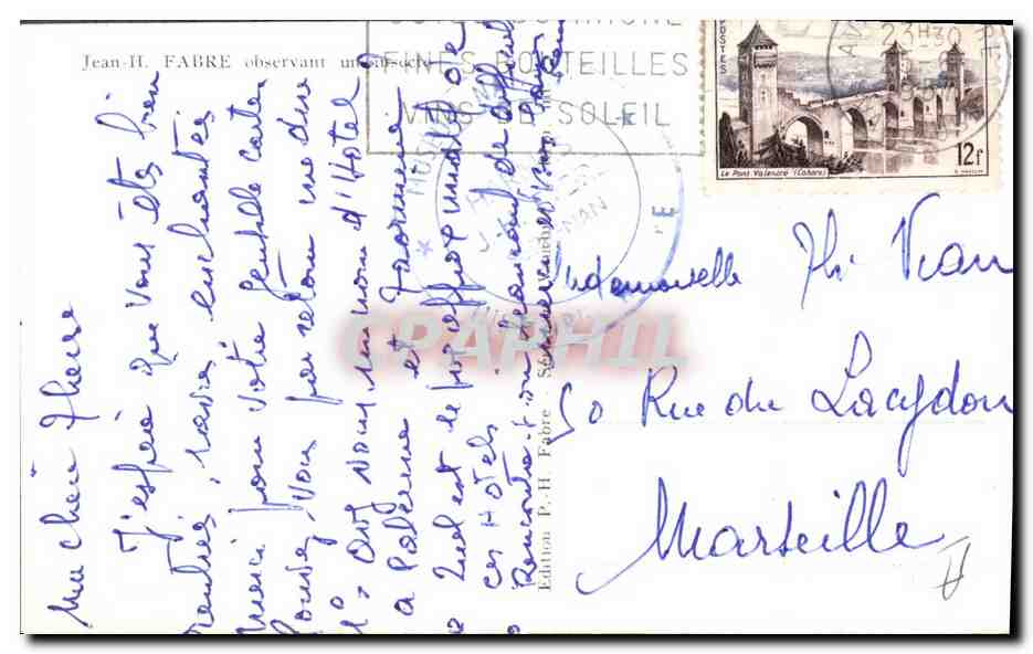 CPM Le naturaliste Henri Fabre en observation  — Verso