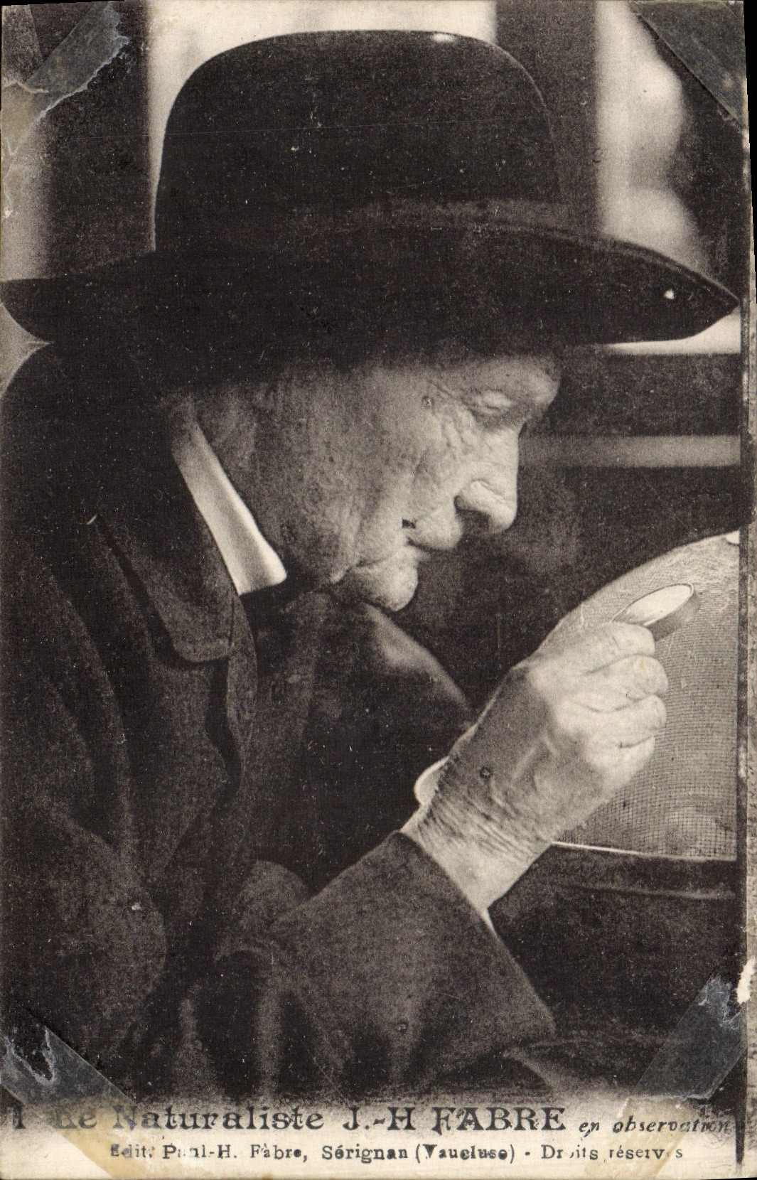 Le Naturaliste J.-H. Fabre en observation — Éditeur Paul-H. Fabre, Sérignan (Vaucluse)