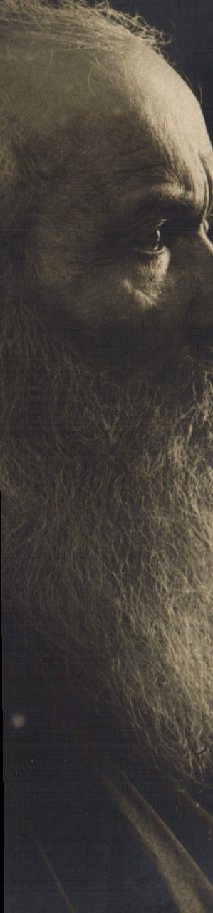 Portrait d'un homme barbu — profil — éditeur inconnu