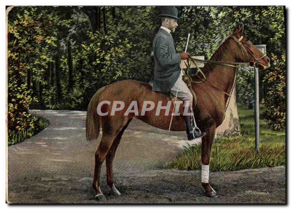 Cavalier à cheval — Forêt — Éditeur E.S.D. série 509