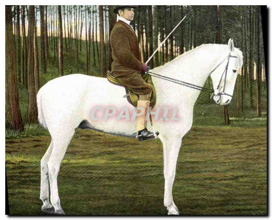 Cavalier sur cheval blanc — Forêt — Éditeur Levelezö-Lap
