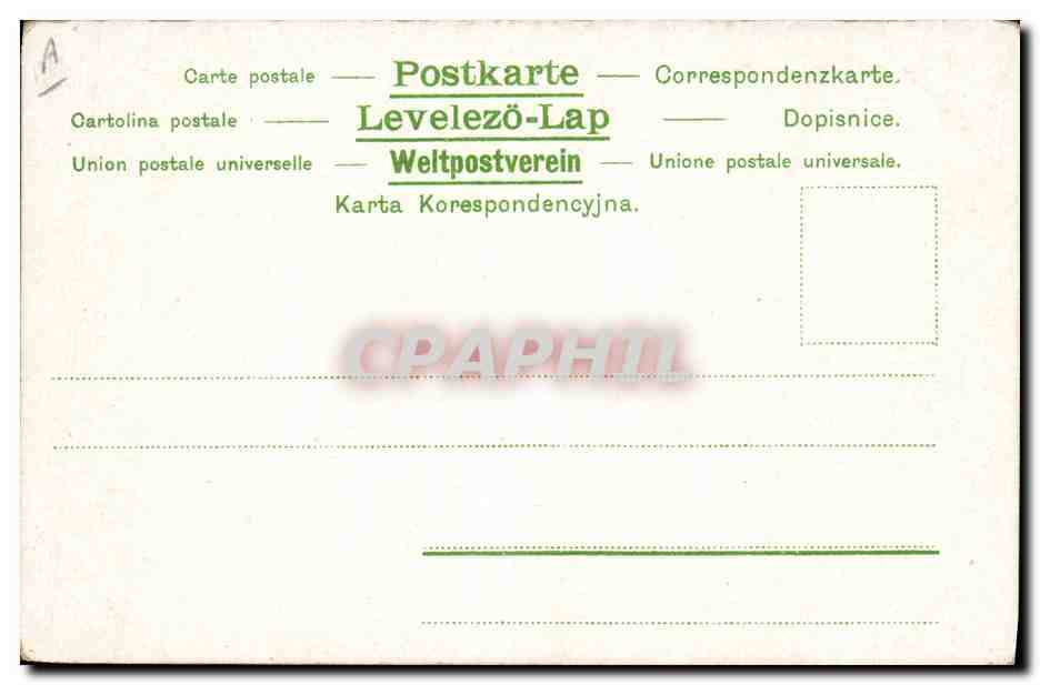 Cavalier sur cheval blanc — Forêt — Éditeur Levelezö-Lap — Verso