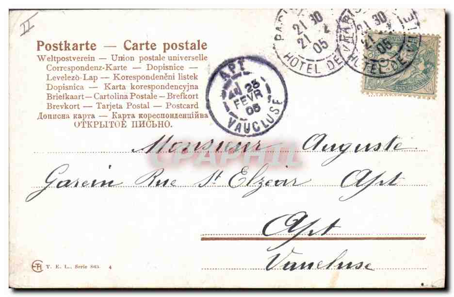 Chevaux et poulains — scène pastorale — T. E. L., Série 803 — Reverso