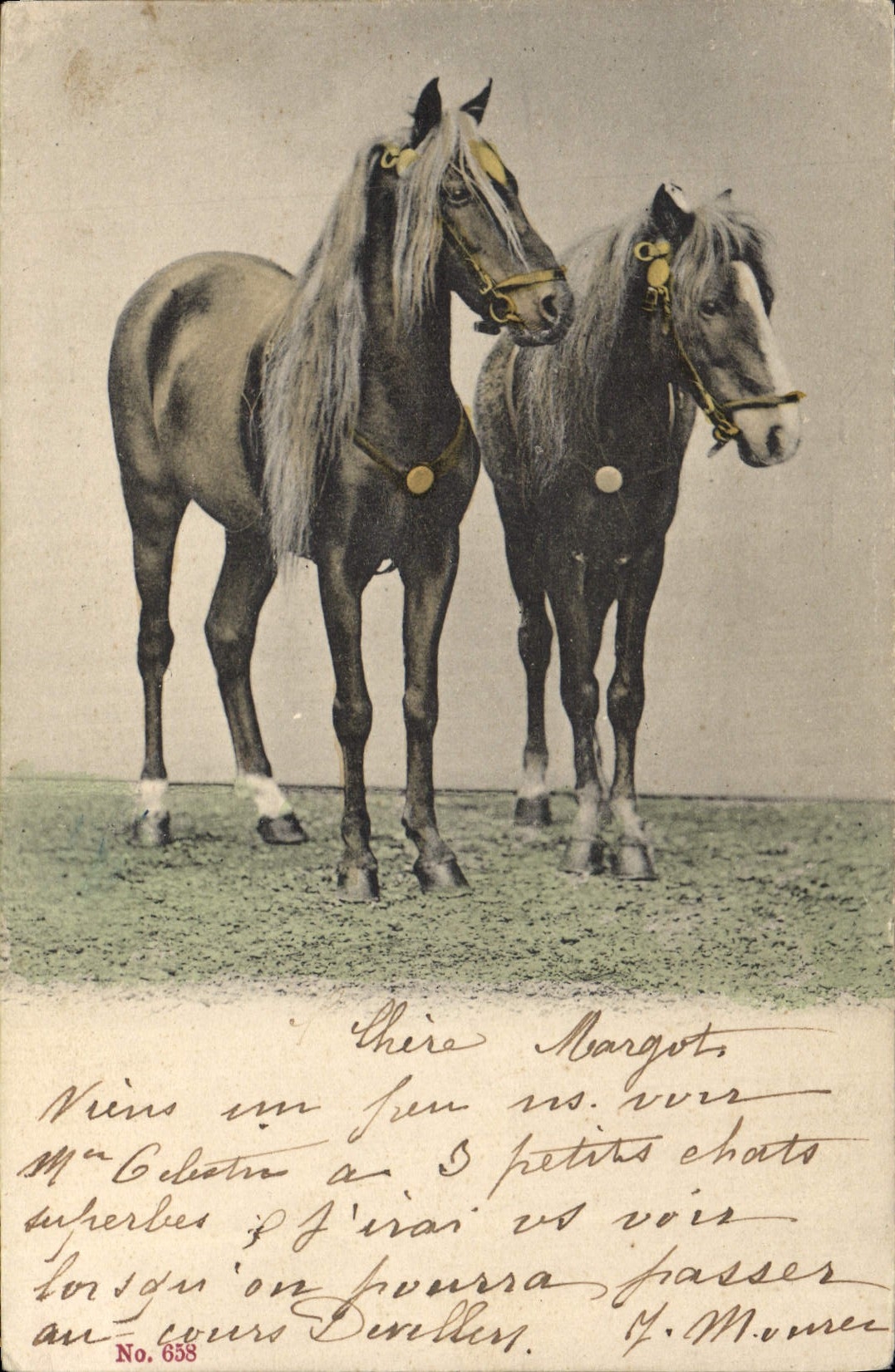Deux chevaux — cours de chevaux — éditeur non identifié, n° 658