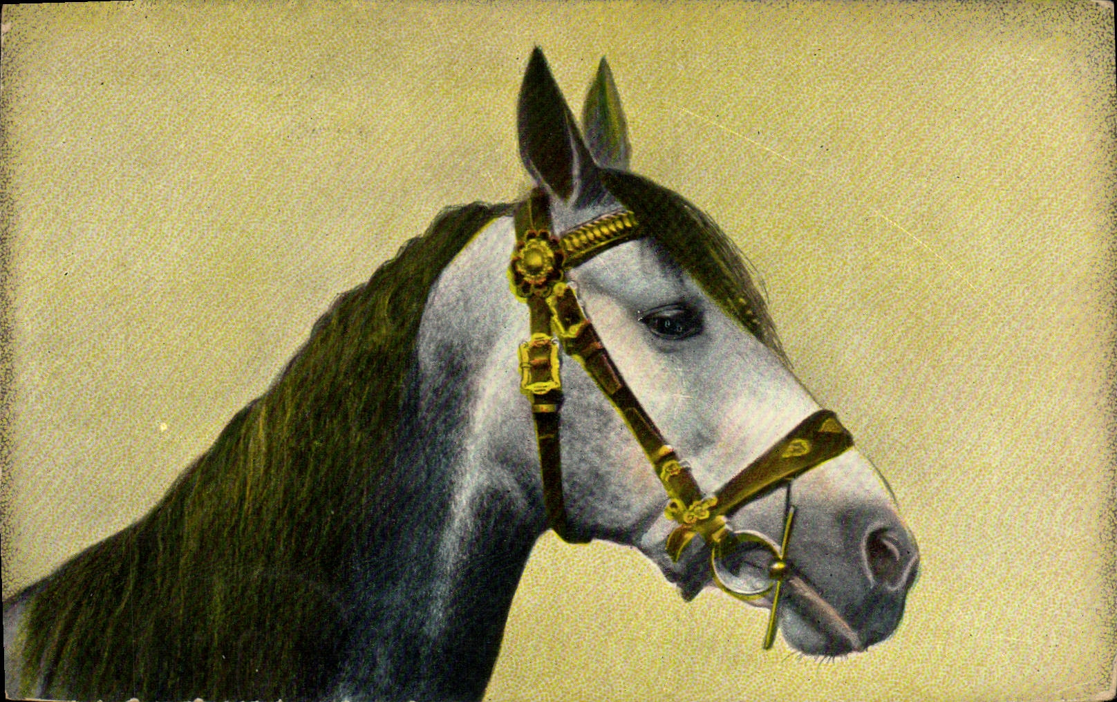 Tête de cheval — avec harnais doré — Th. E. L. Theochrom-Serie 1040