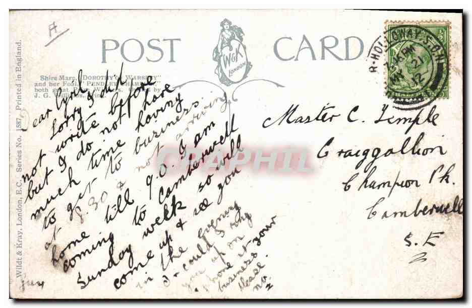 Dorothy of Warsley et son poulain Pendley Champion — Shire Horses — Wilde & Kray, London, série No. 1897 — Reverso