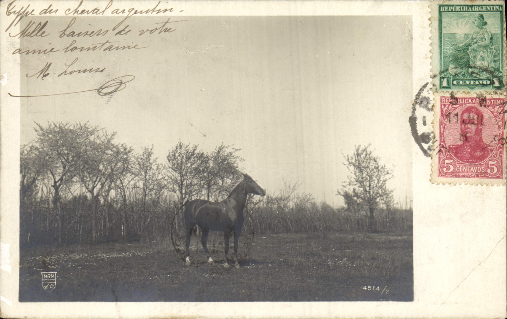 Cheval argenté — Argentina — NRM, n° 4514/6