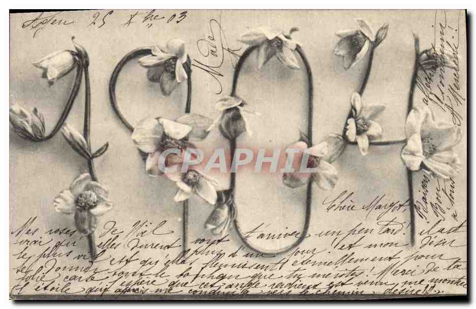 CPA Fantaisie Fleurs Annee 1904