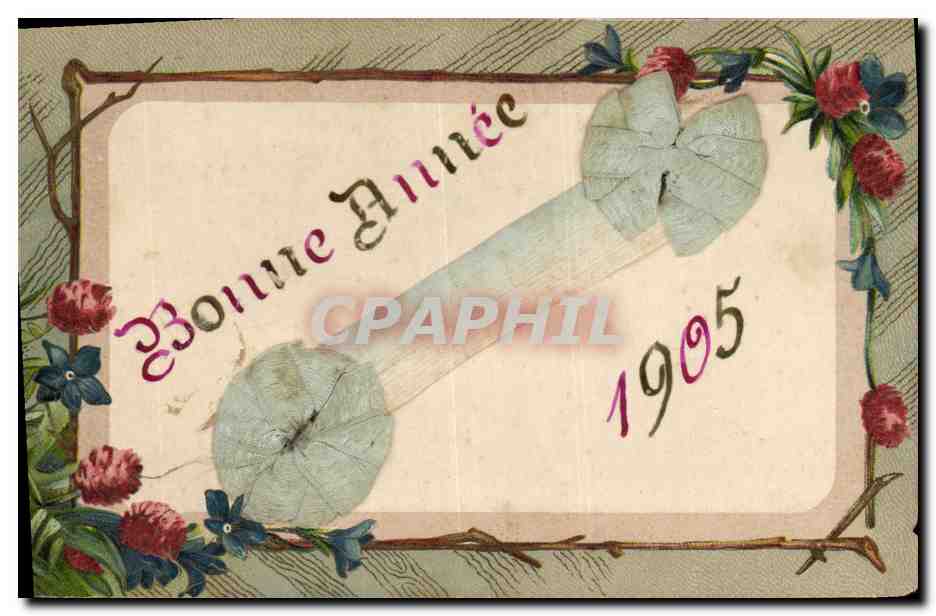 CPA Fantaisie Fleurs Annee 1905