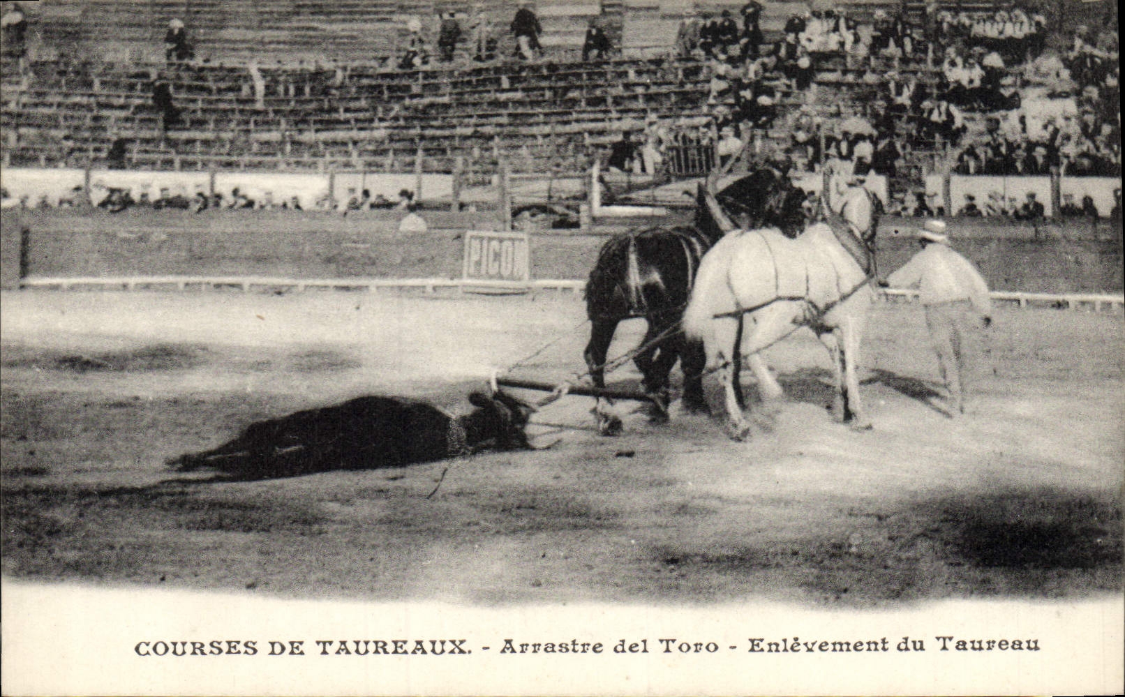 Cours de taureaux - Arrastre del Toro - Enlèvement du Taureau - PICON