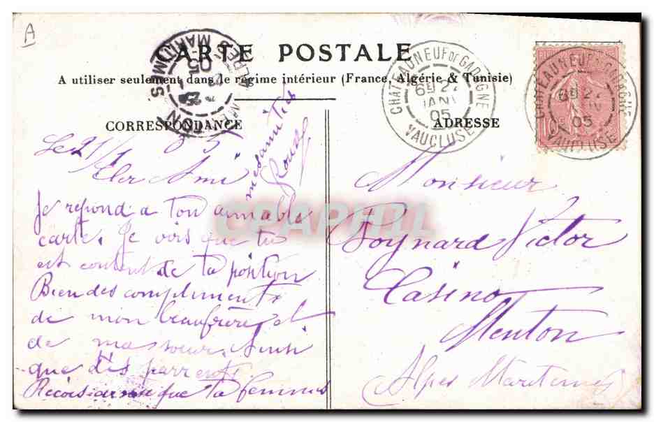Vintage Postcard Pig Flowers Hand Fantasy — Back