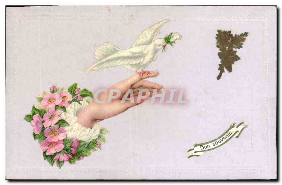 Dove with olive branch — Bon souvenir — Carte postale imprimée