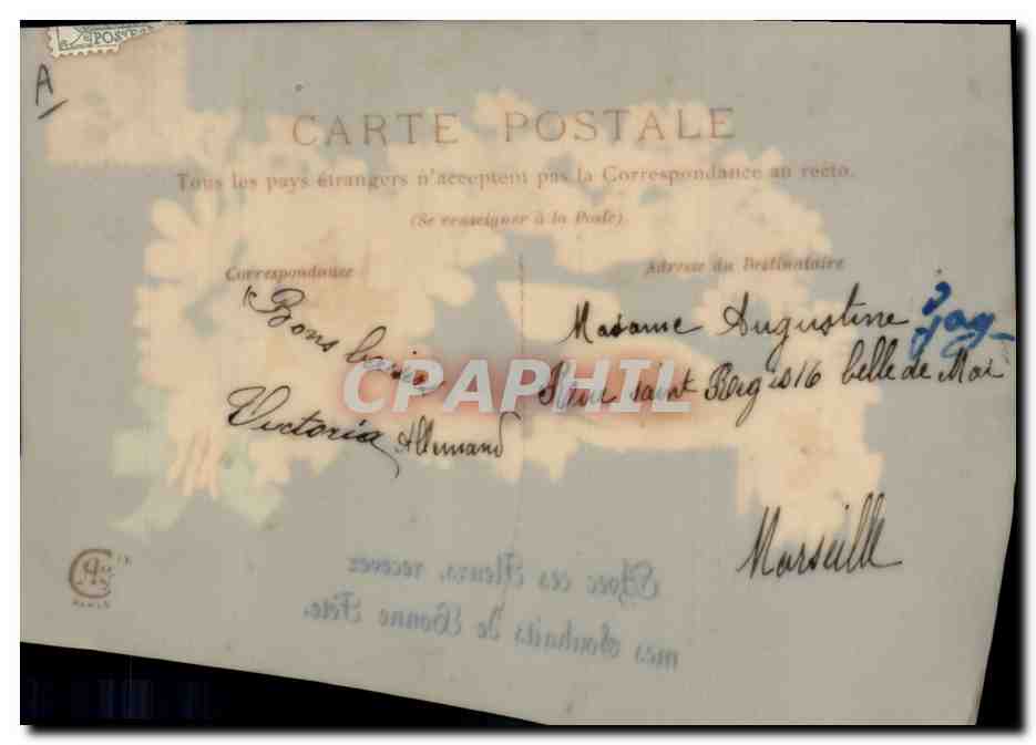Fleurs et colombe — Souhaits de Bonne Fête — éditeur non visible — Reverso