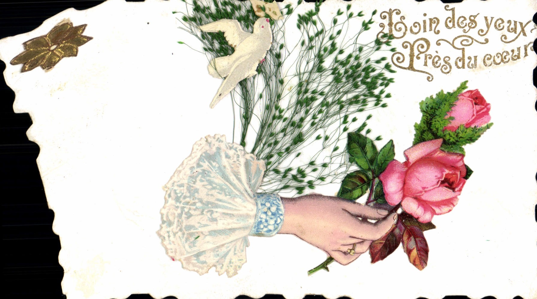Main tenant une rose — oiseau blanc et feuillage — texte 'Bain des yeux Près du cœur' — éditeur non visible
