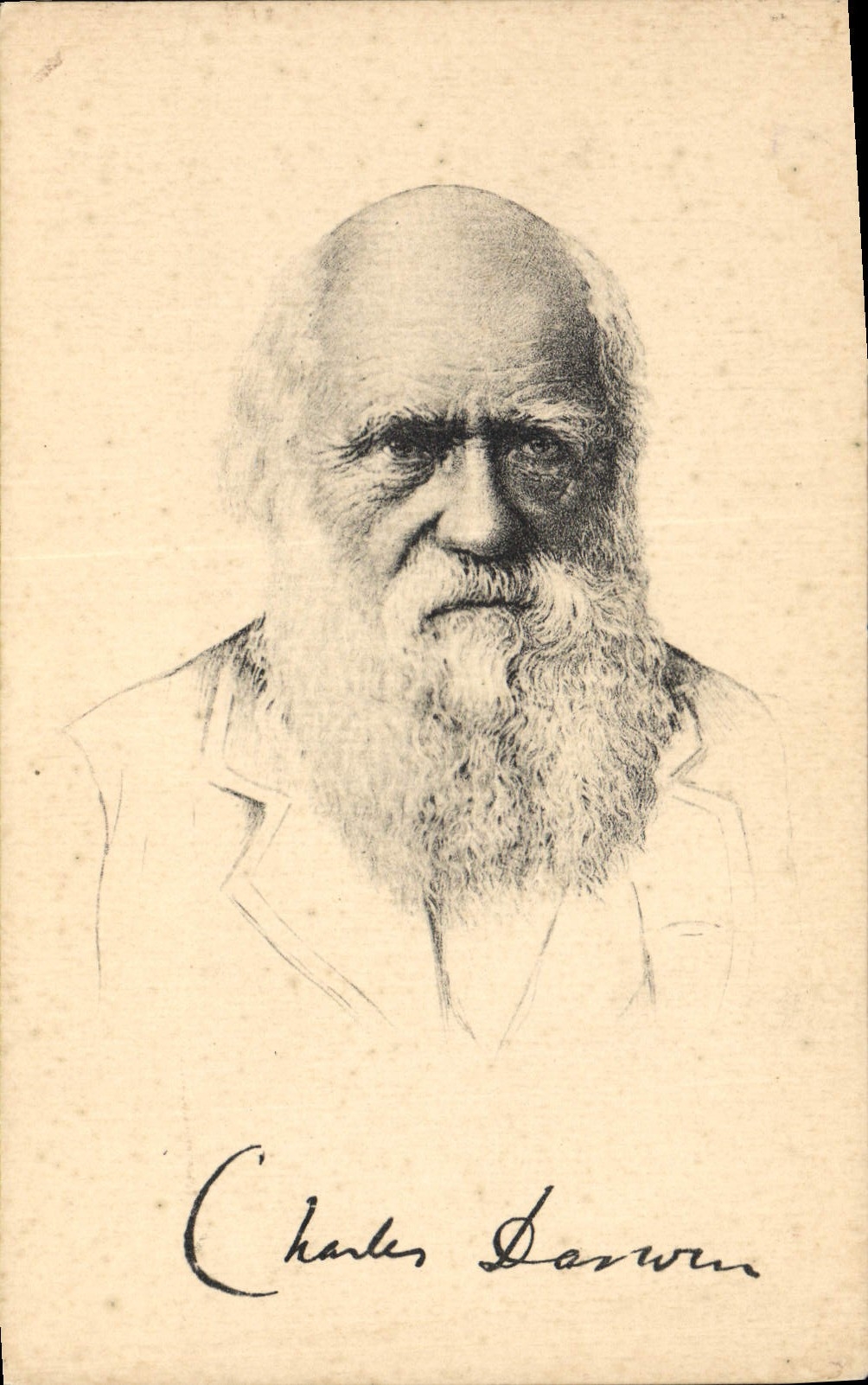 Charles Darwin — portrait gravé avec signature — Stiangel & Co. n° 49104