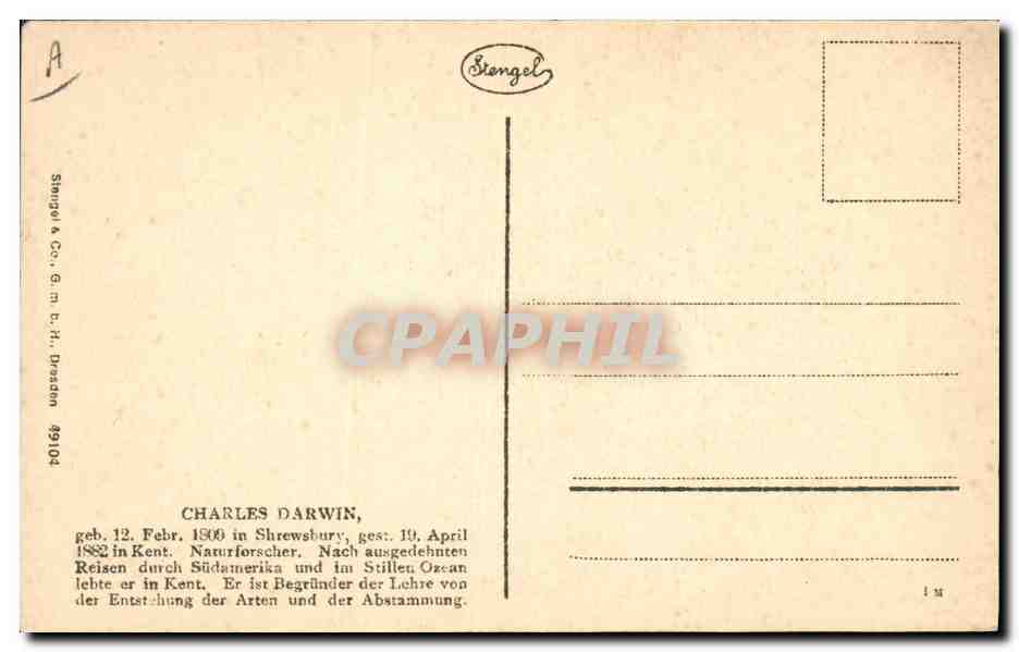 Charles Darwin — portrait gravé avec signature — Stiangel & Co. n° 49104 — Reverso