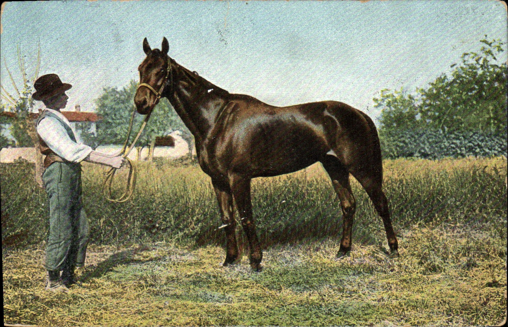 Un jeune garçon avec un cheval — Éditeur Th. E. L., série 890