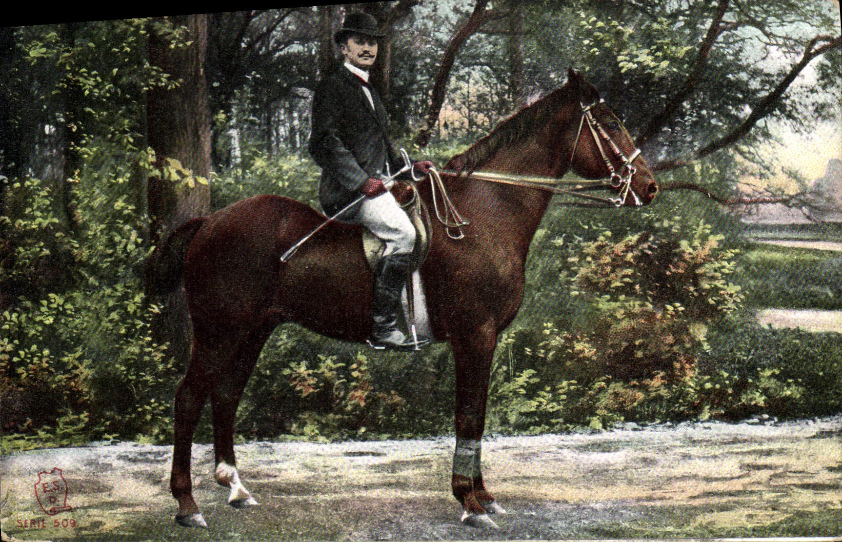 Cavalier à cheval — Forêt — Éditeur E.S.P., série 509