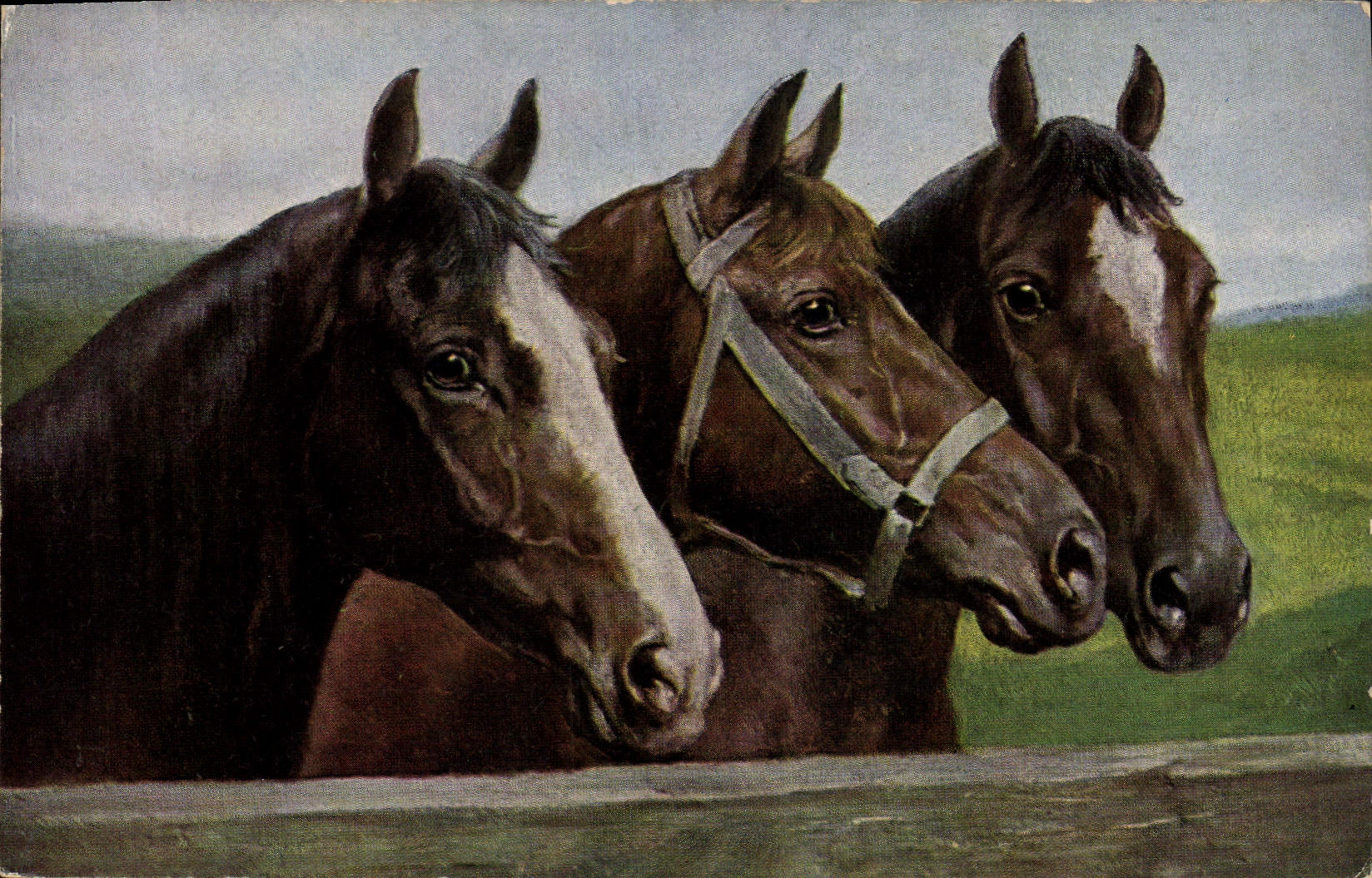 Trois chevaux — peinture — T.S.N. Serie 1:82 (4 Muster)