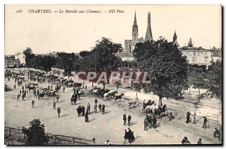 Chartres — Il Mercato dei Cavalli — ND Fot.