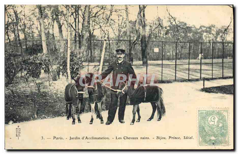 Paris - Jardin d'Acclimatation - Les Chevaux nains - Bijou, Prince, Idéal