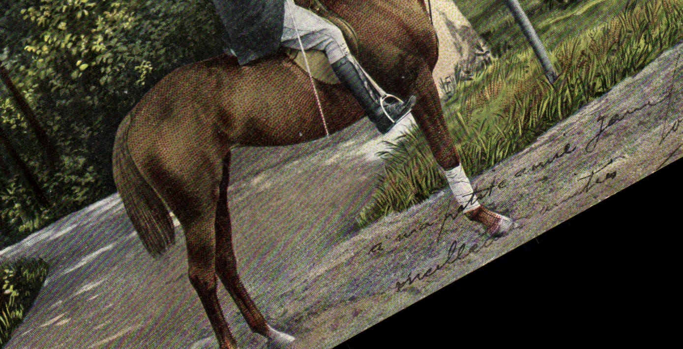 Cavalier sur cheval — scène de campagne — éditeur non visible