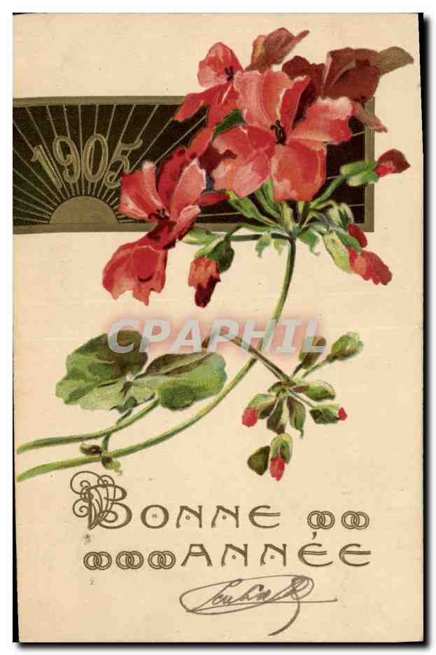 CPA Fantaisie Fleurs Annee 1905 
