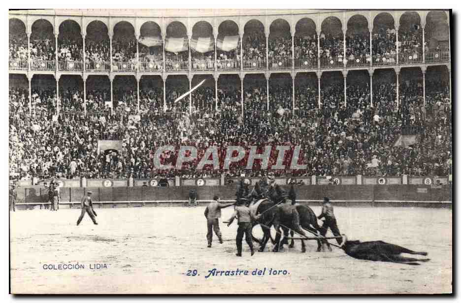 CPA Corrida Course de taureaux Arrastre del toro 