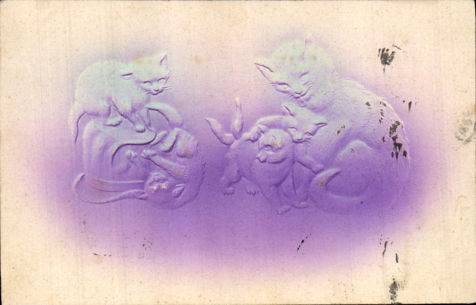 CPA Fantaisie Chats Chatons (en relief) 