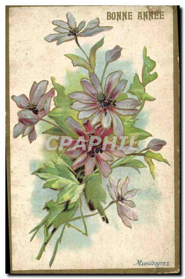 CPA Fantaisie Fleurs Marguerites 